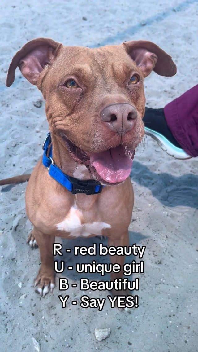 Post 1 by Broward Buddies Program on Instagram (video)