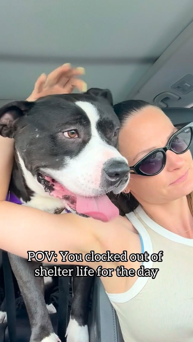 Post 6 by Broward Buddies Program on Instagram (video)
