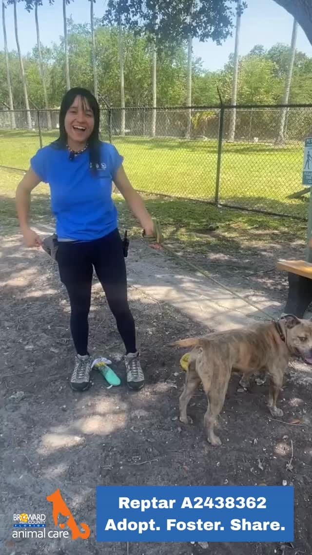 Post 10 by Broward Buddies Program on Instagram (video)