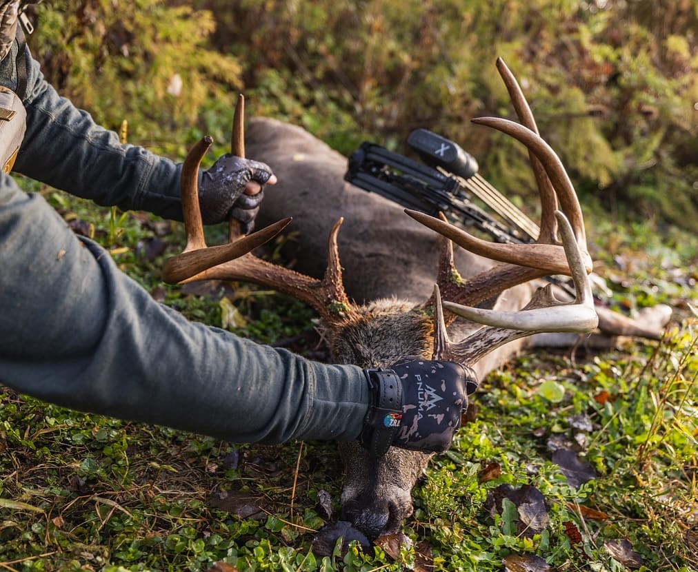 Post 5 by Nick Kravitz on Instagram (image)