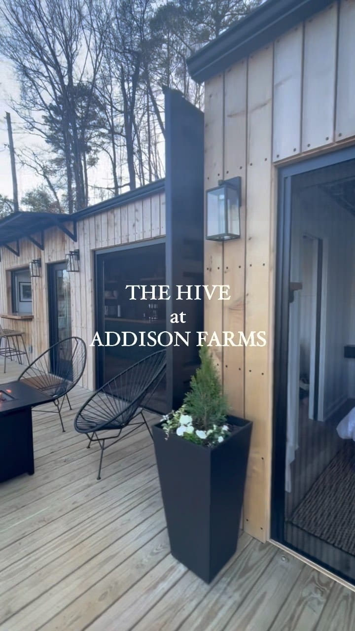 Post 10 by The Hive on Instagram (video)