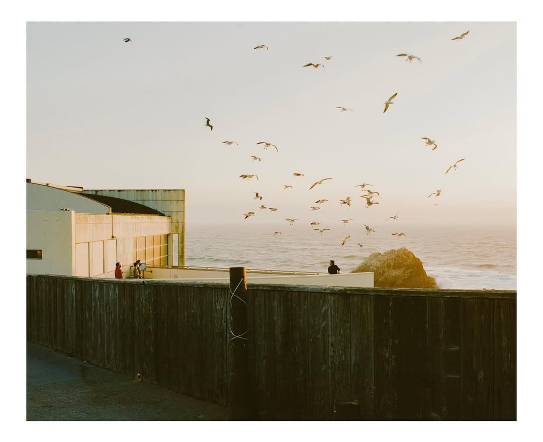 Post 10 by anthony panacci on Instagram (carousel)