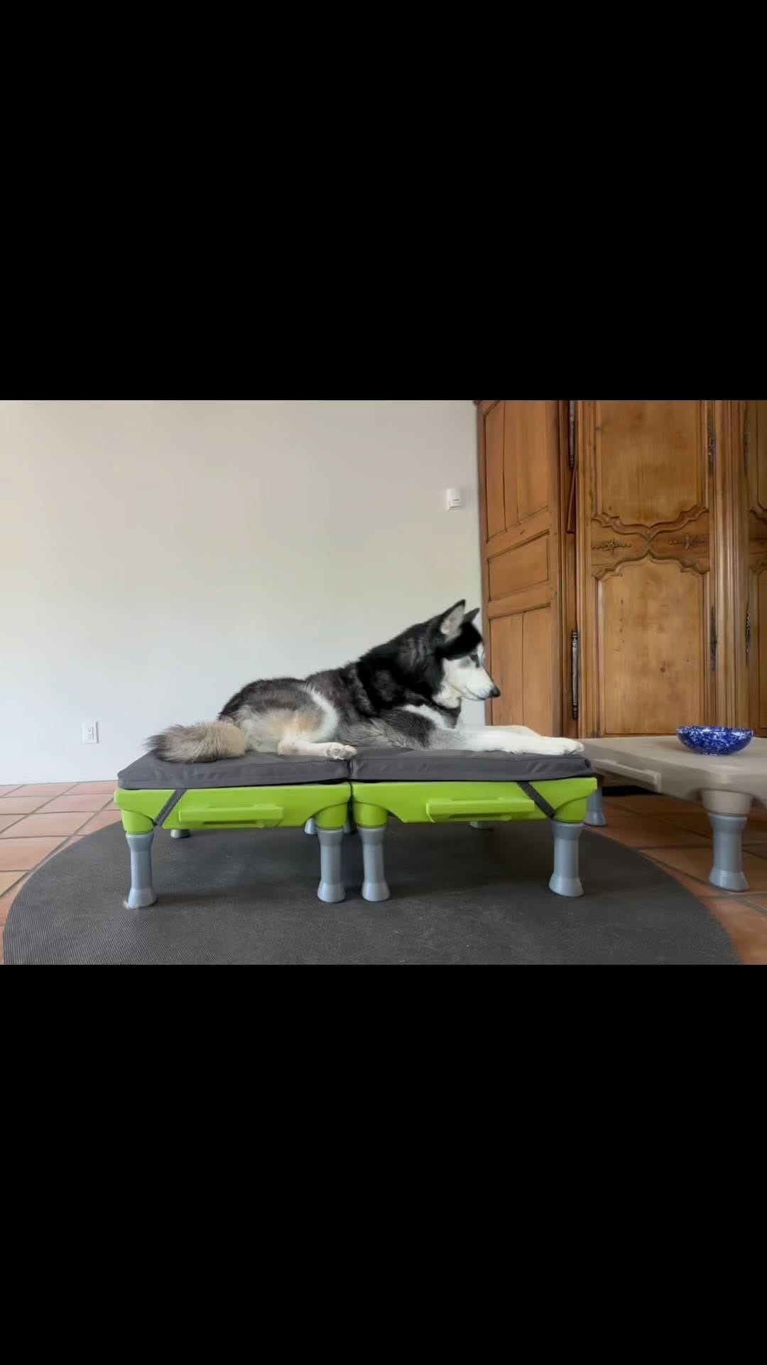 Post 1 by Do not DM/not active on Instagram (video)