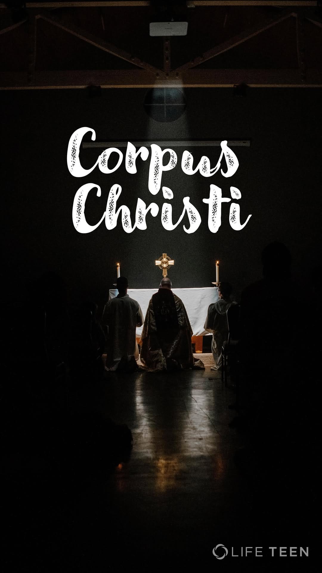 Post 8 by Fr. Jerónimo Espinosa on Instagram (video)