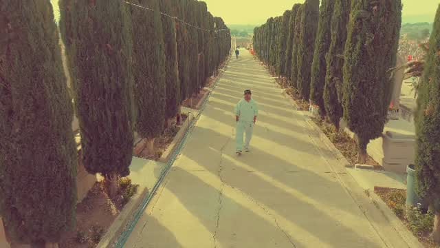 Post 2 by John Solis on Instagram (video)