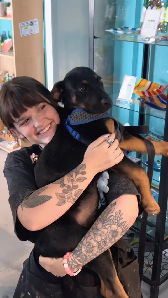 Post 3 by PAWS Shelter of Central Texas on Instagram (video)