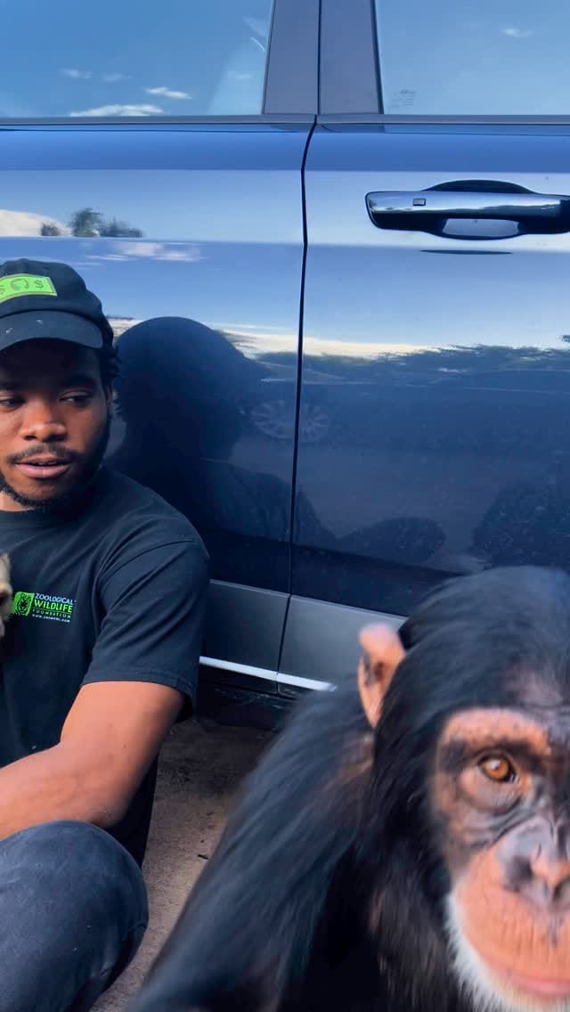 Post 6 by Jabari’s Safari on Instagram (video)