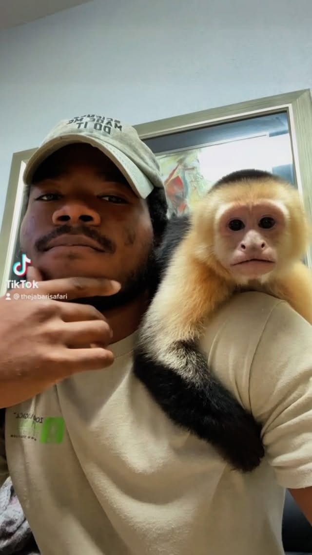 Post 5 by Jabari’s Safari on Instagram (video)