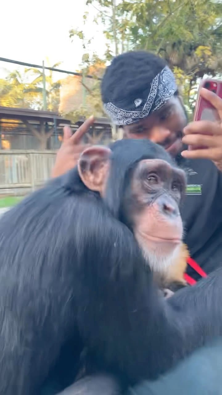 Post 9 by Jabari’s Safari on Instagram (video)