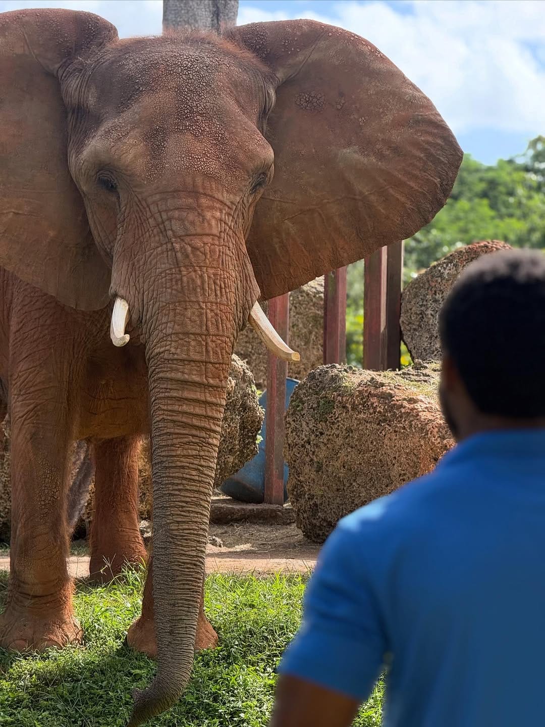 Post 2 by Jabari’s Safari on Instagram (carousel)