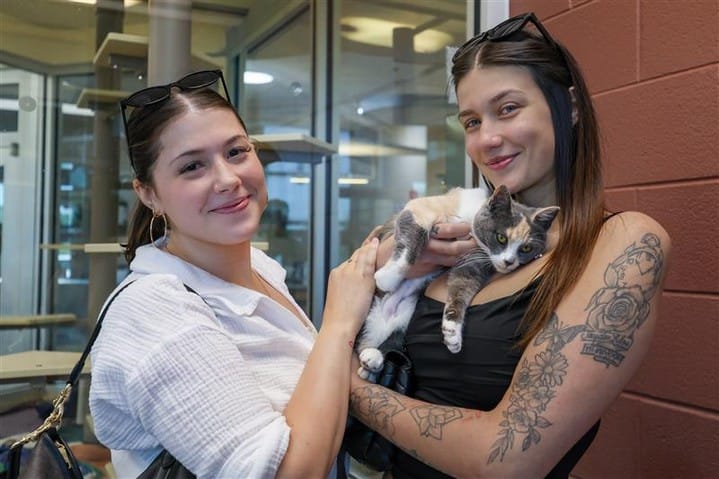 Post 4 by Michigan Humane on Instagram (carousel)