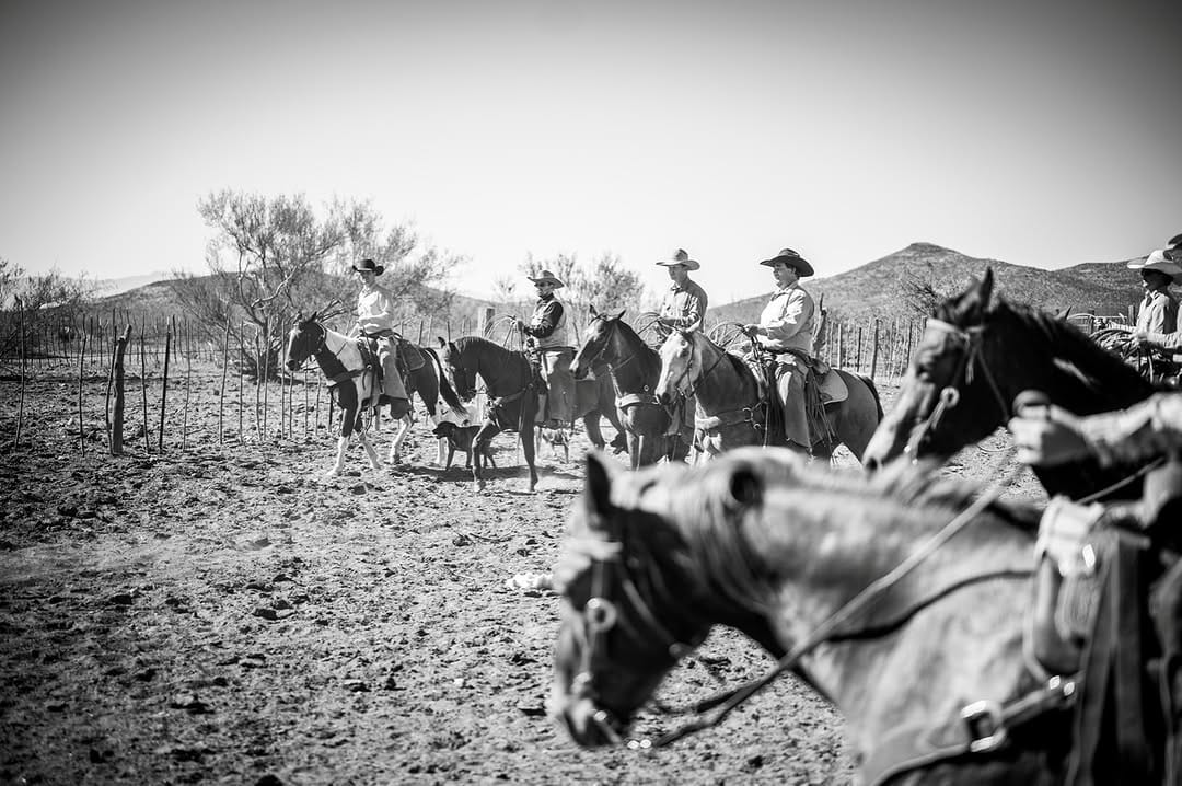 Post 3 by Western Lifestyle Photography on Instagram (image)