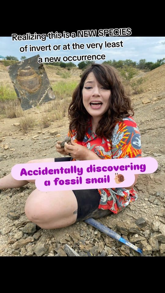 Post 9 by Bethany Burke Franklin: Paleontologist on Instagram (video)