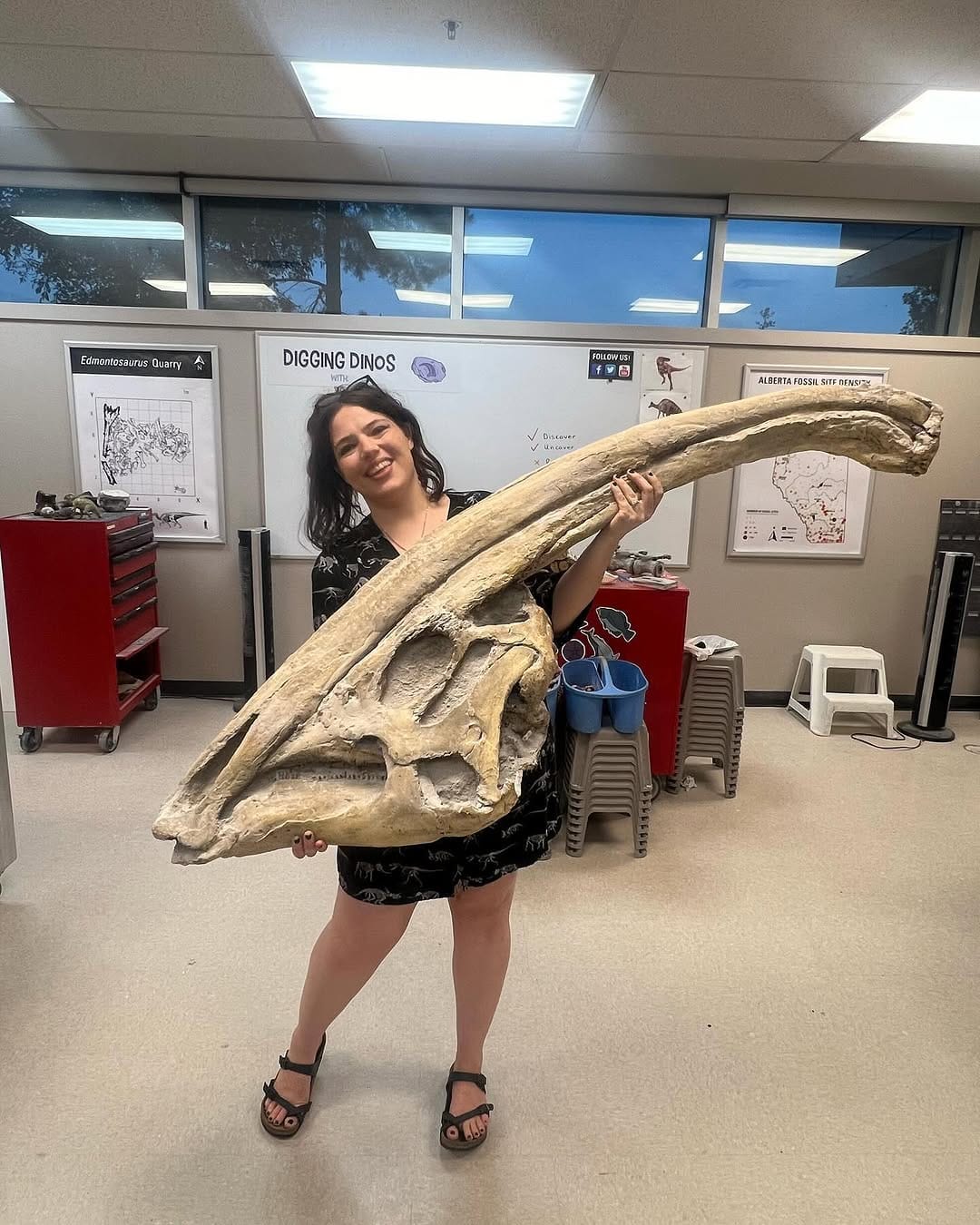 Post 10 by Bethany Burke Franklin: Paleontologist on Instagram (image)