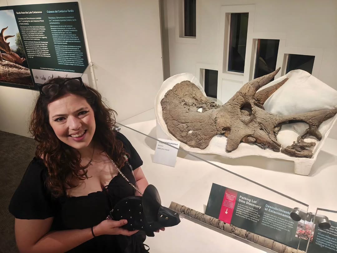 Post 4 by Bethany Burke Franklin: Paleontologist on Instagram (image)