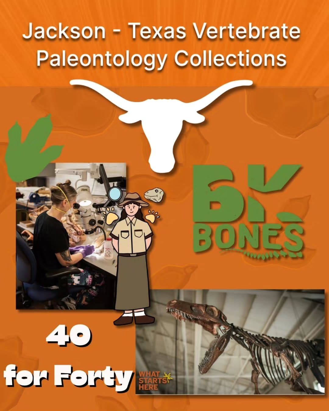 Post 3 by Bethany Burke Franklin: Paleontologist on Instagram (image)