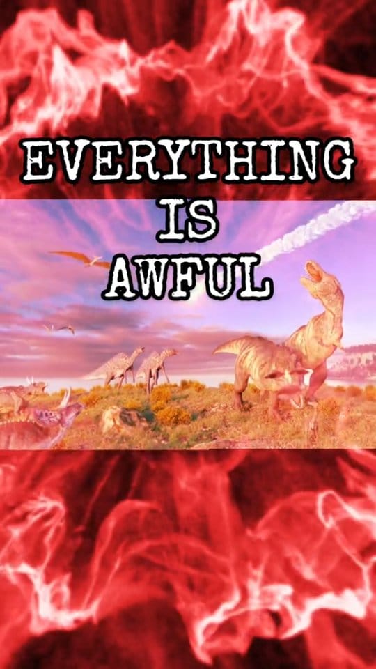 Post 8 by Bethany Burke Franklin: Paleontologist on Instagram (video)