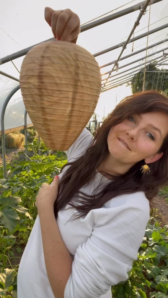 Post 2 by McKAY Opeifa | Apitherapist | Master Beekeeper on Instagram (video)