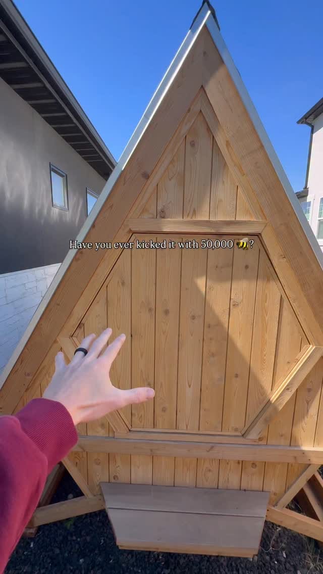 Post 3 by McKAY Opeifa | Apitherapist | Master Beekeeper on Instagram (video)