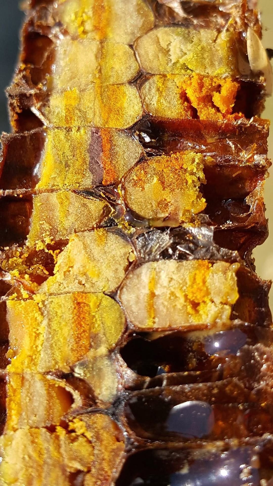 Post 7 by McKAY Opeifa | Apitherapist | Master Beekeeper on Instagram (video)