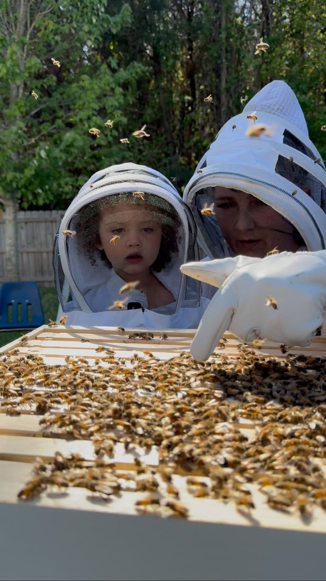 Post 5 by McKAY Opeifa | Apitherapist | Master Beekeeper on Instagram (video)