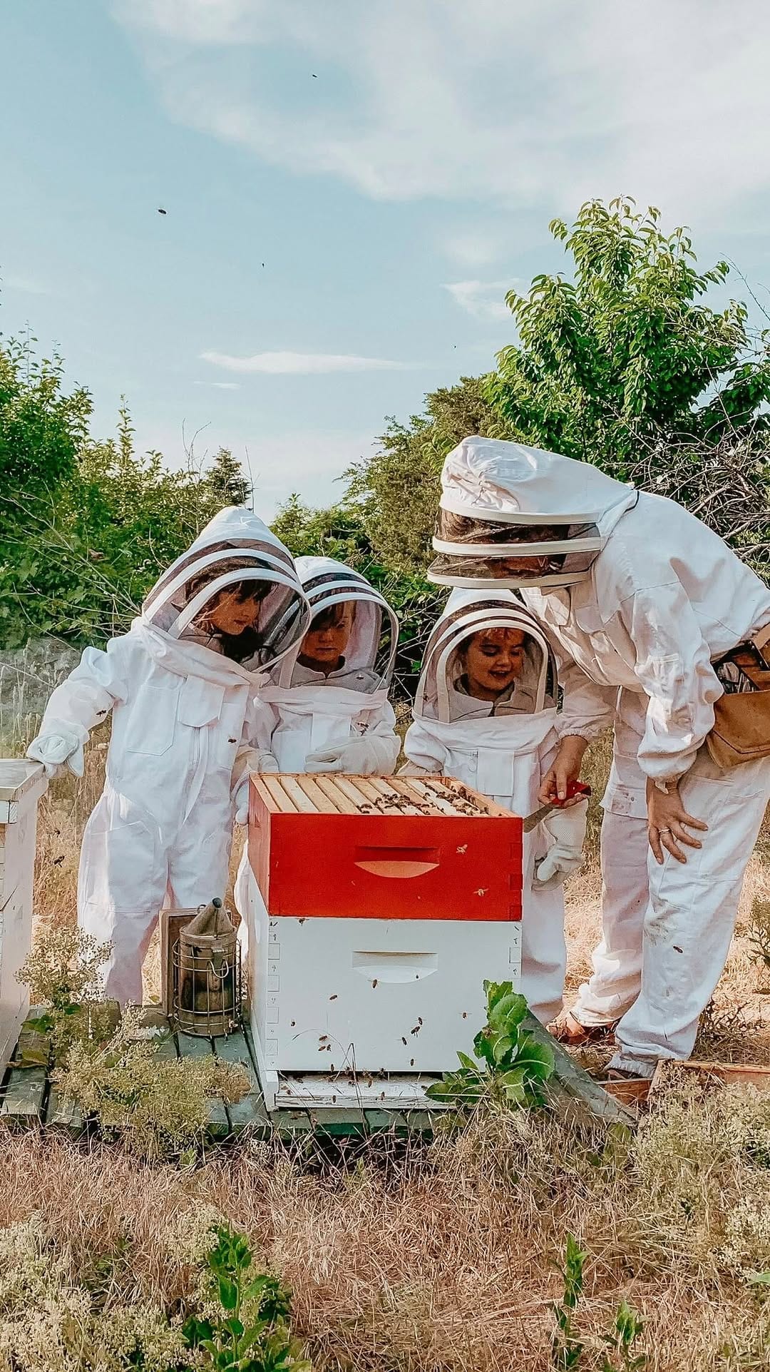 Post 10 by McKAY Opeifa | Apitherapist | Master Beekeeper on Instagram (video)