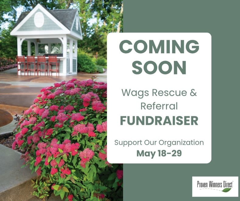 Post 1 by Wags Rescue And Referral on Instagram (carousel)