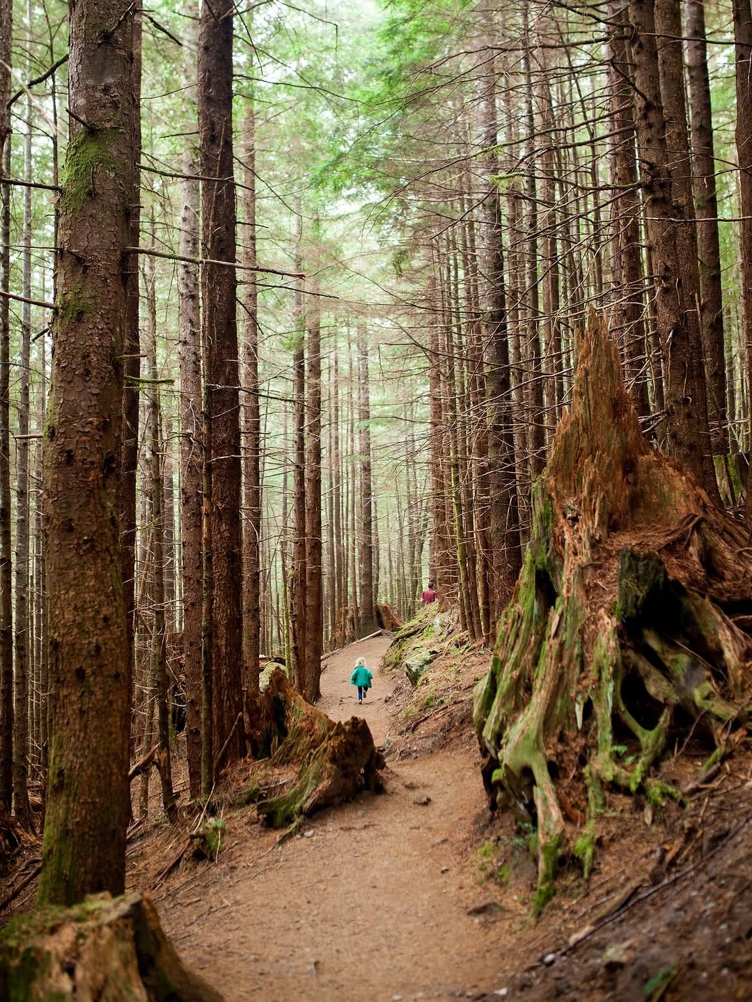Post 3 by Three Peak Basecamp on Instagram (carousel)