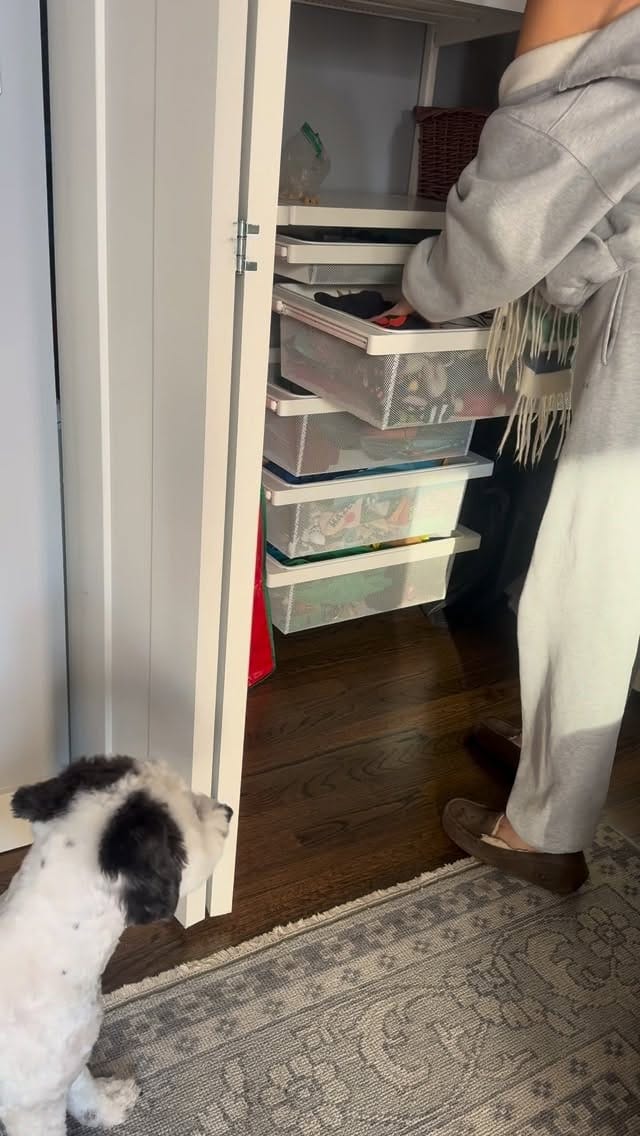 Post 3 by Mabel | Mini Sheepadoodle on Instagram (video)