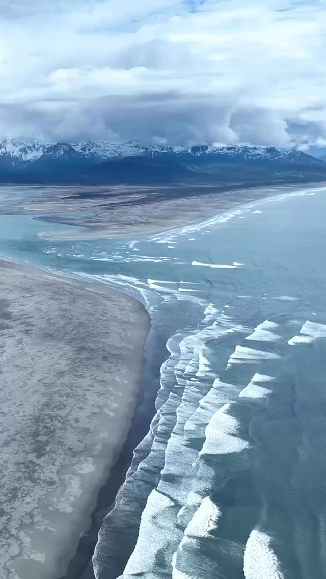 Post 5 by Drifters Fish on Instagram (video)