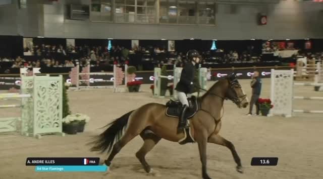 Post 4 by TENDERCAPITAL STABLES on Instagram (video)