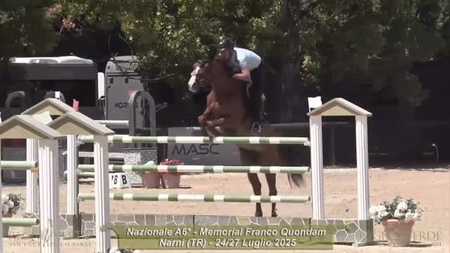 Post 9 by TENDERCAPITAL STABLES on Instagram (video)