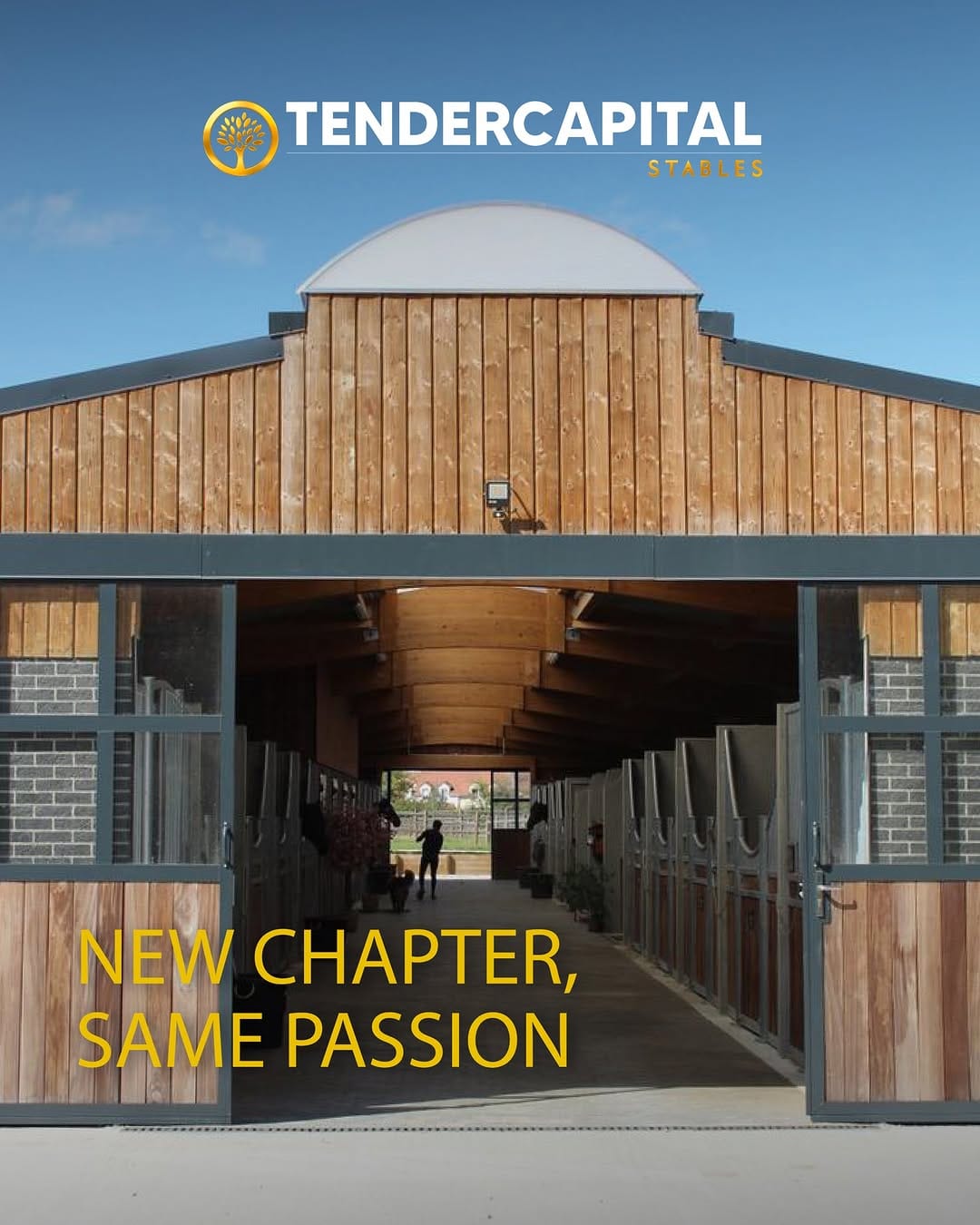 Post 7 by TENDERCAPITAL STABLES on Instagram (carousel)