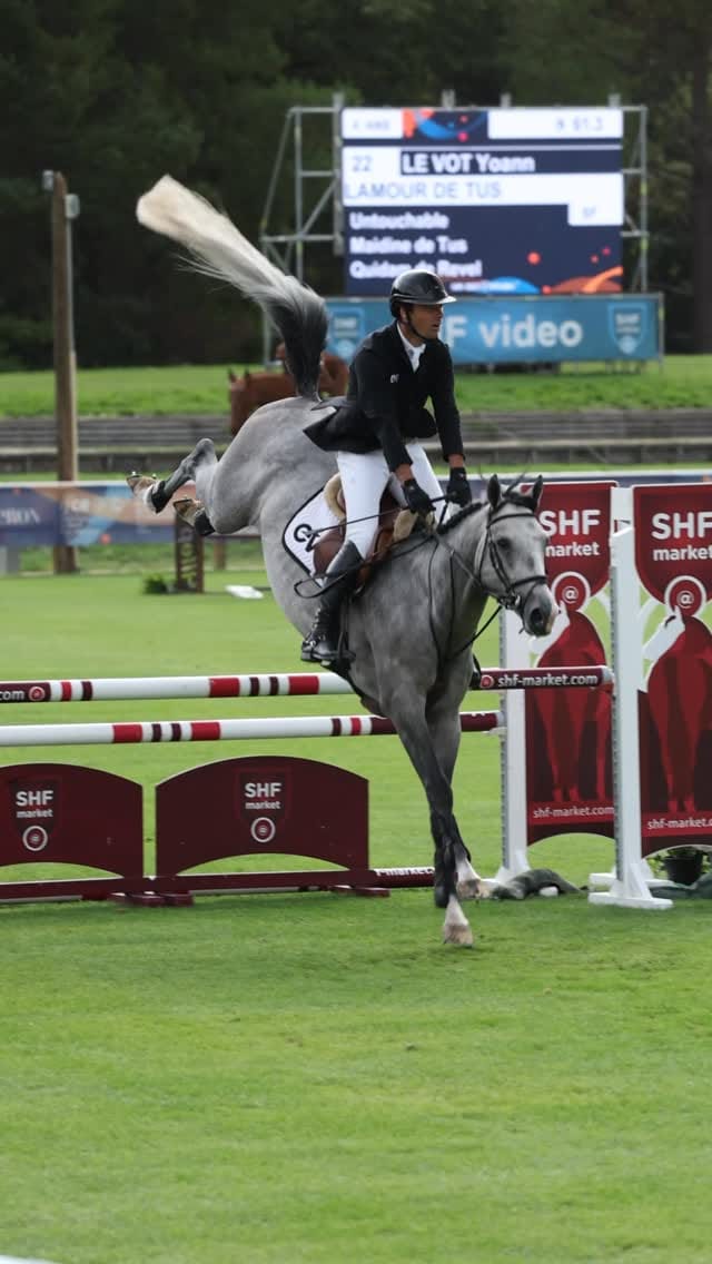Post 8 by TENDERCAPITAL STABLES on Instagram (video)