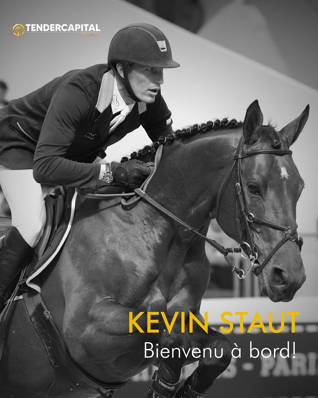Post 6 by TENDERCAPITAL STABLES on Instagram (image)