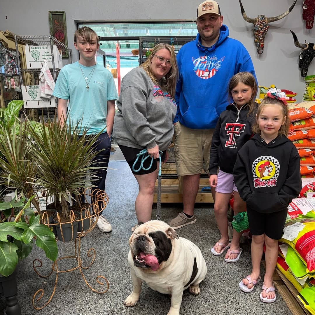 Post 4 by Lone Star Bulldog Club Rescue on Instagram (image)