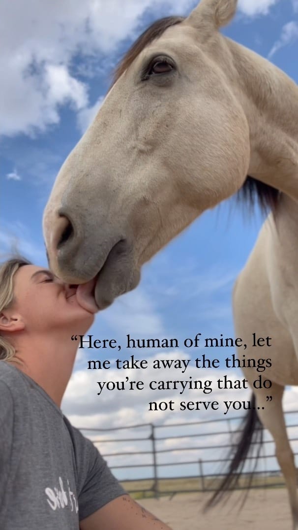 Post 9 by Harmonized Horsemanship on Instagram (video)