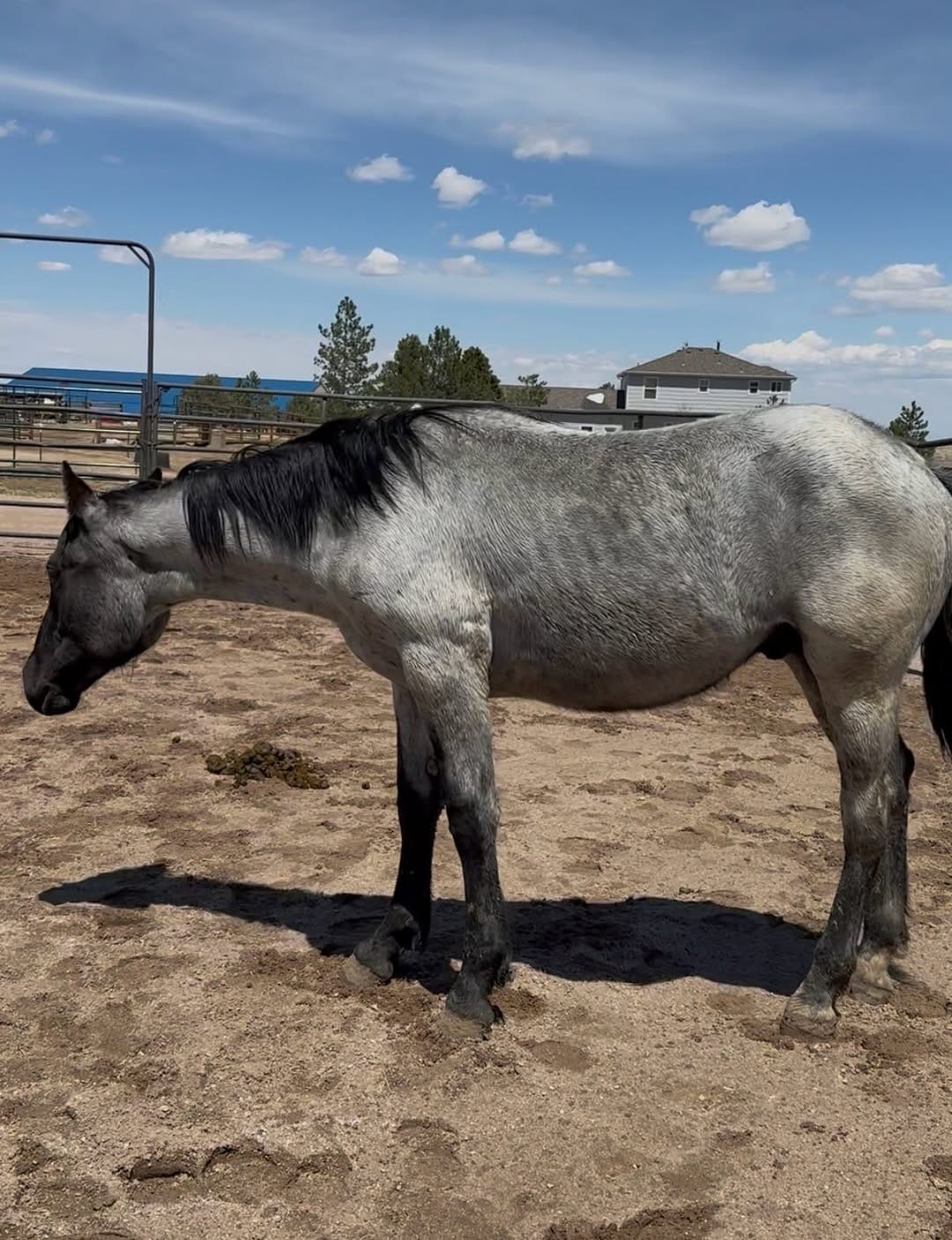 Post 2 by Harmonized Horsemanship on Instagram (carousel)