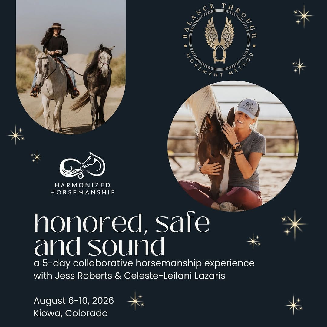 Post 4 by Harmonized Horsemanship on Instagram (image)