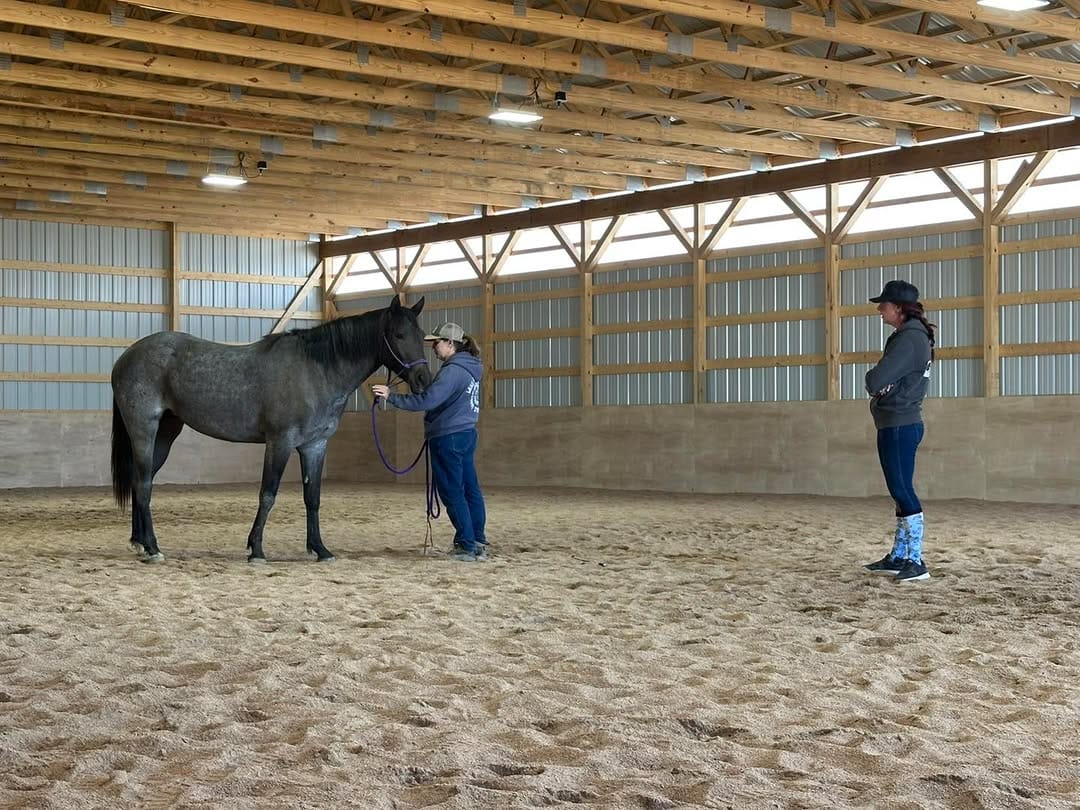 Post 6 by Harmonized Horsemanship on Instagram (carousel)