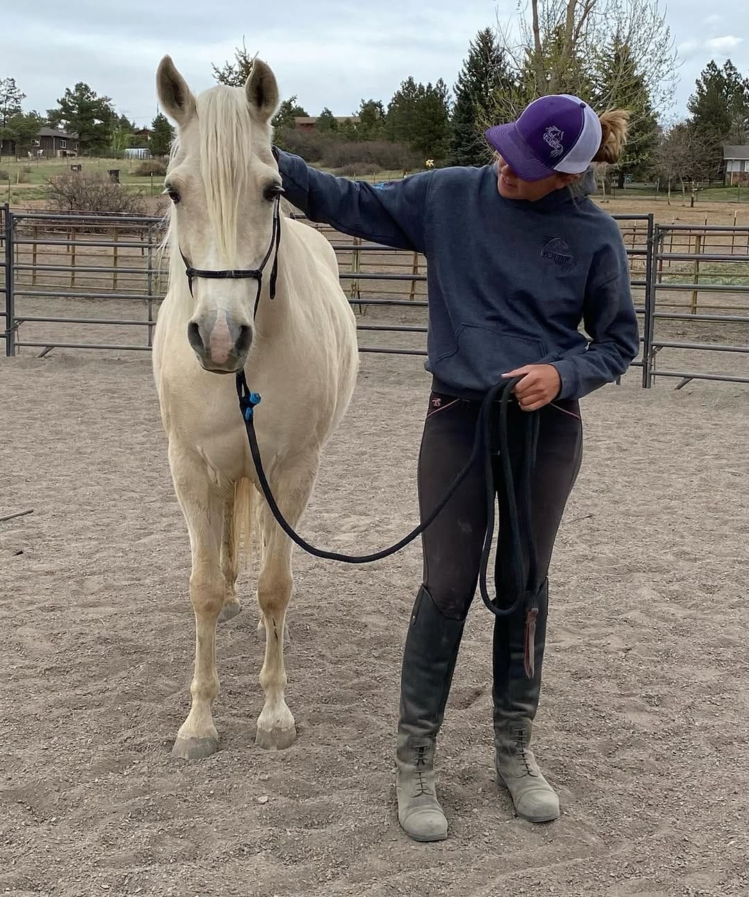 Post 3 by Harmonized Horsemanship on Instagram (image)