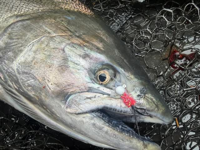 Post 1 by Getm Dry Fishing Co/ Fishing🔥 on Instagram (video)