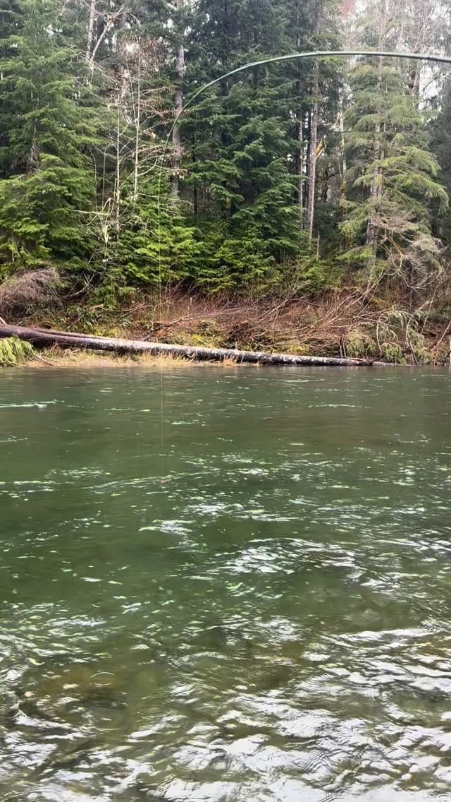 Post 6 by Getm Dry Fishing Co/ Fishing🔥 on Instagram (video)