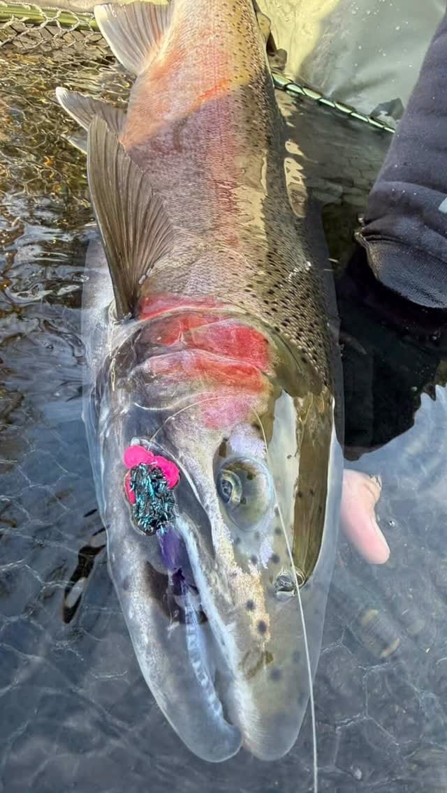 Post 7 by Getm Dry Fishing Co/ Fishing🔥 on Instagram (video)