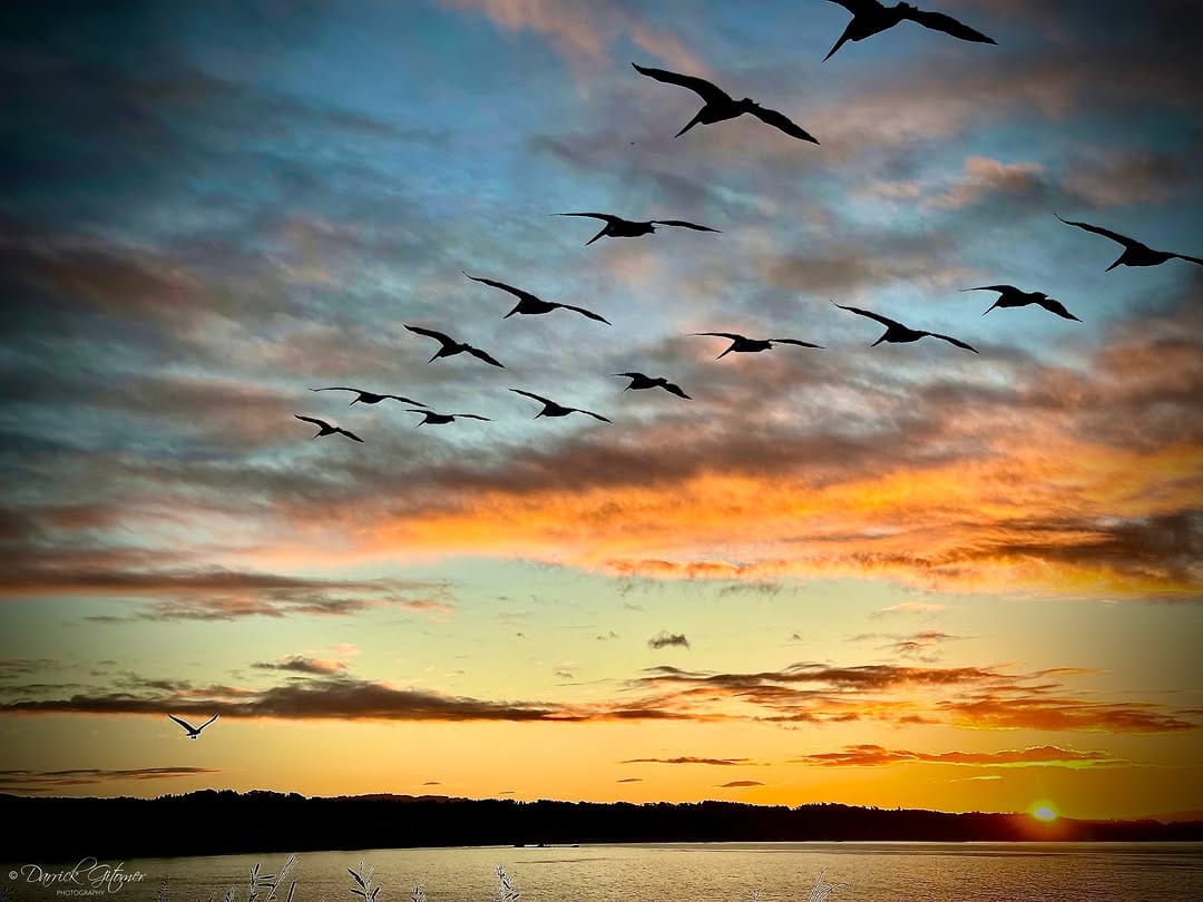 Post 7 by Darrick Gitomer on Instagram (image)