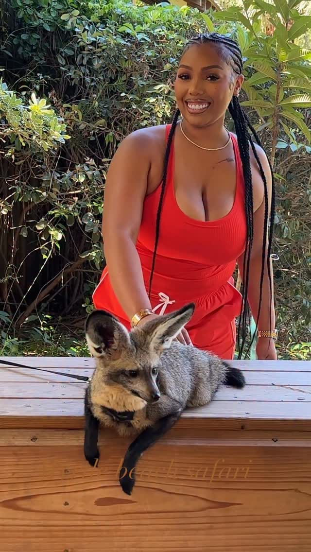 Post 2 by Myrtle Beach Safari 🐯🐘🐵🦁🦅 on Instagram (video)