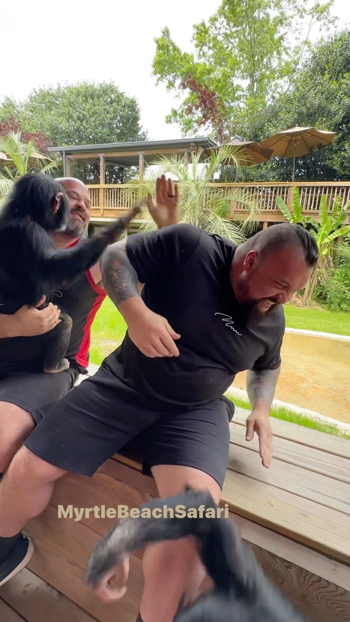 Post 10 by Myrtle Beach Safari 🐯🐘🐵🦁🦅 on Instagram (video)