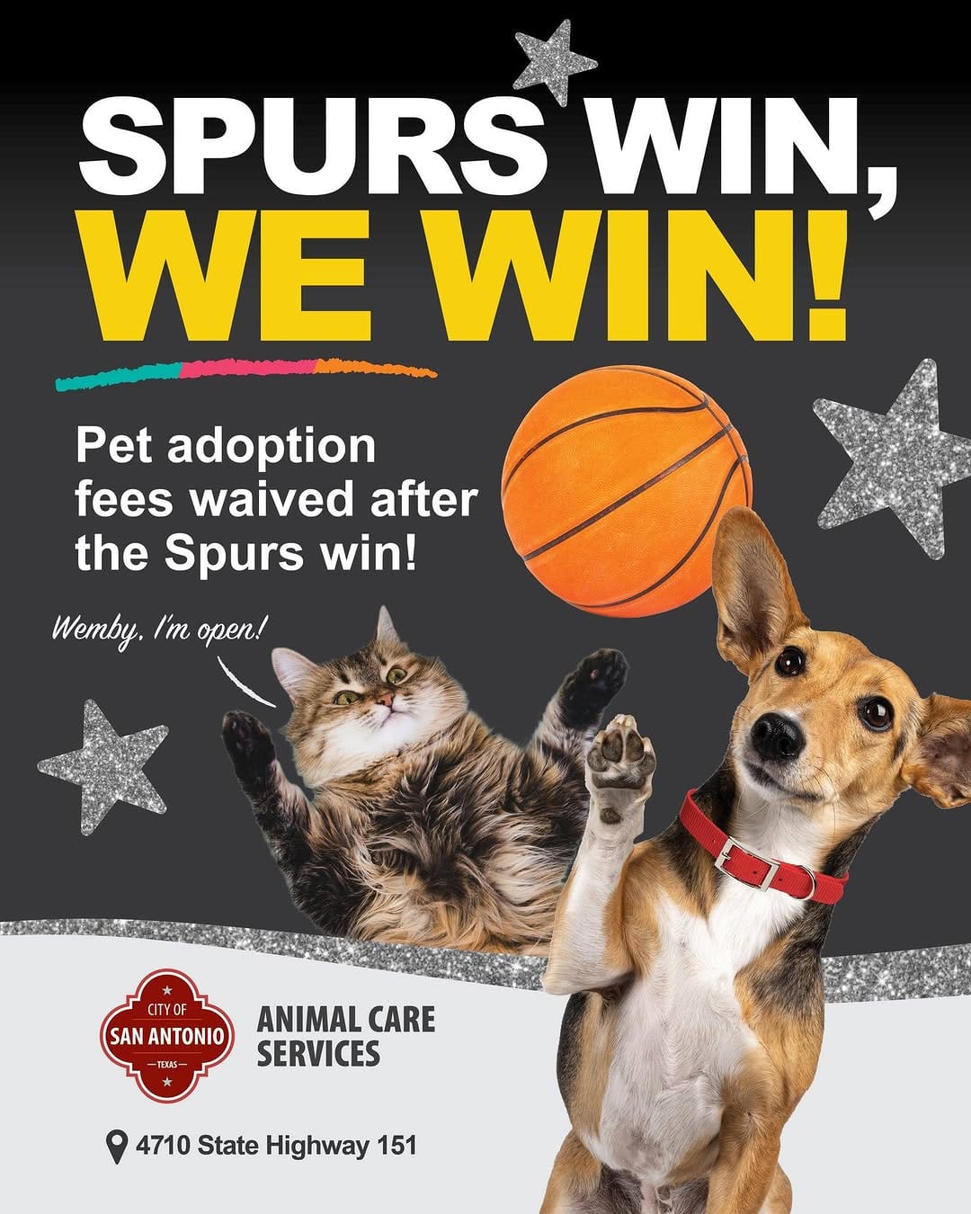 Post 10 by SA Animal Care Services on Instagram (image)