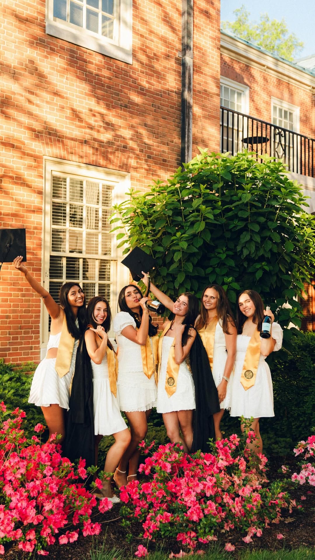 Post 2 by NC + EAST COAST WEDDING PHOTOGRAPHER | Giovanna on Instagram (video)