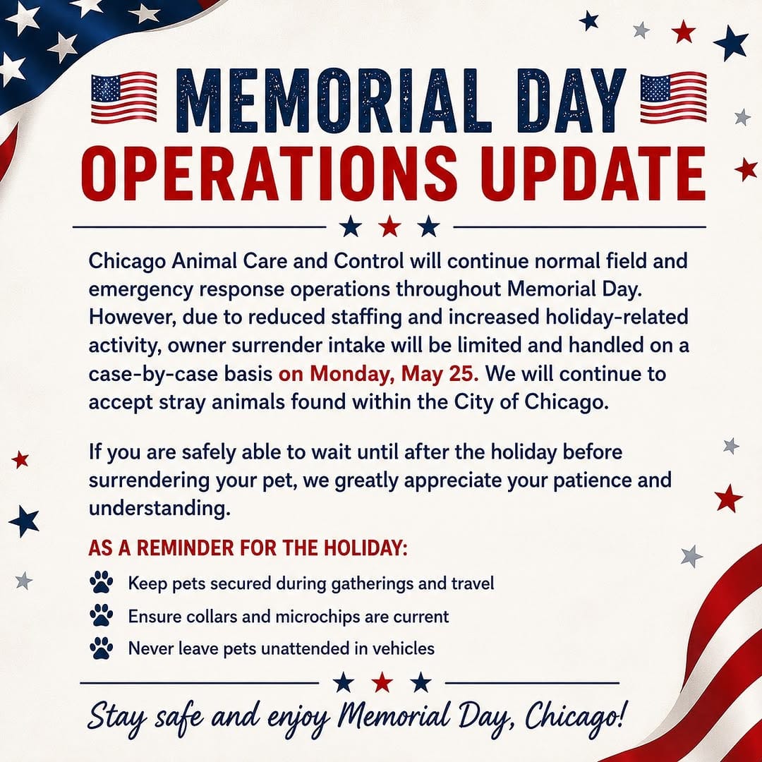 Post 1 by Chicago Animal Care & Control on Instagram (image)